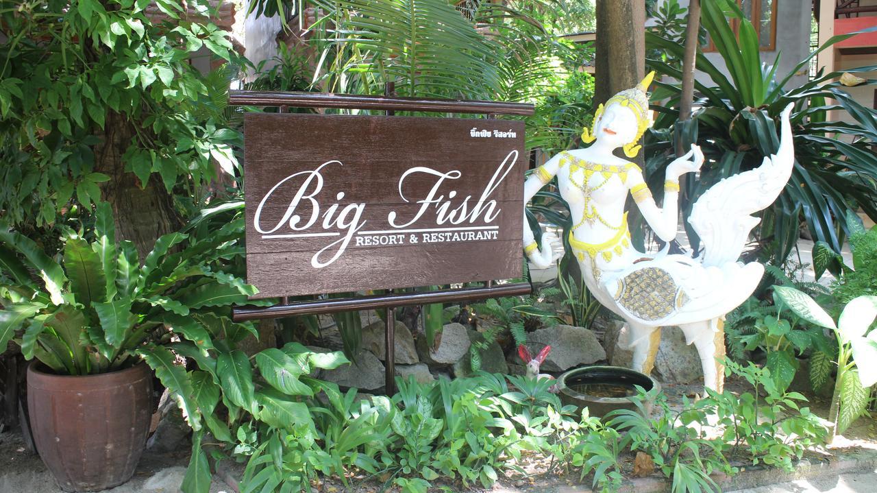 Big Fish Resort Koh Tao Ko Tao Exterior foto
