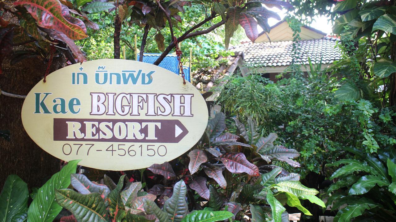 Big Fish Resort Koh Tao Ko Tao Exterior foto